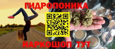 крисы Рузаевка