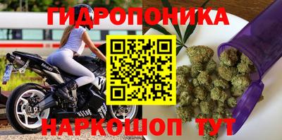крисы Рузаевка