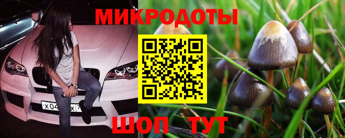 Галлюциногенные грибы мухоморы Сарапул